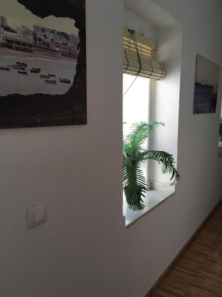 Hostal Fantoni Cádiz Exteriér fotografie